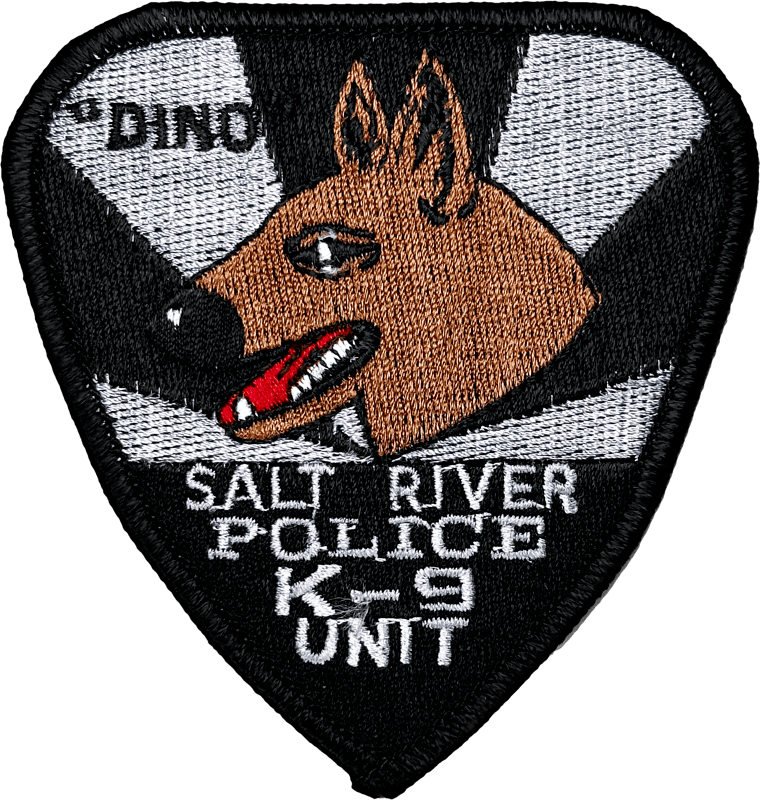 An image of a patch from Salt River Police