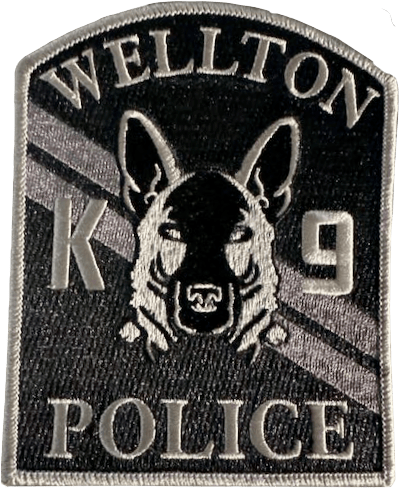 An image of a patch from Wellton Police