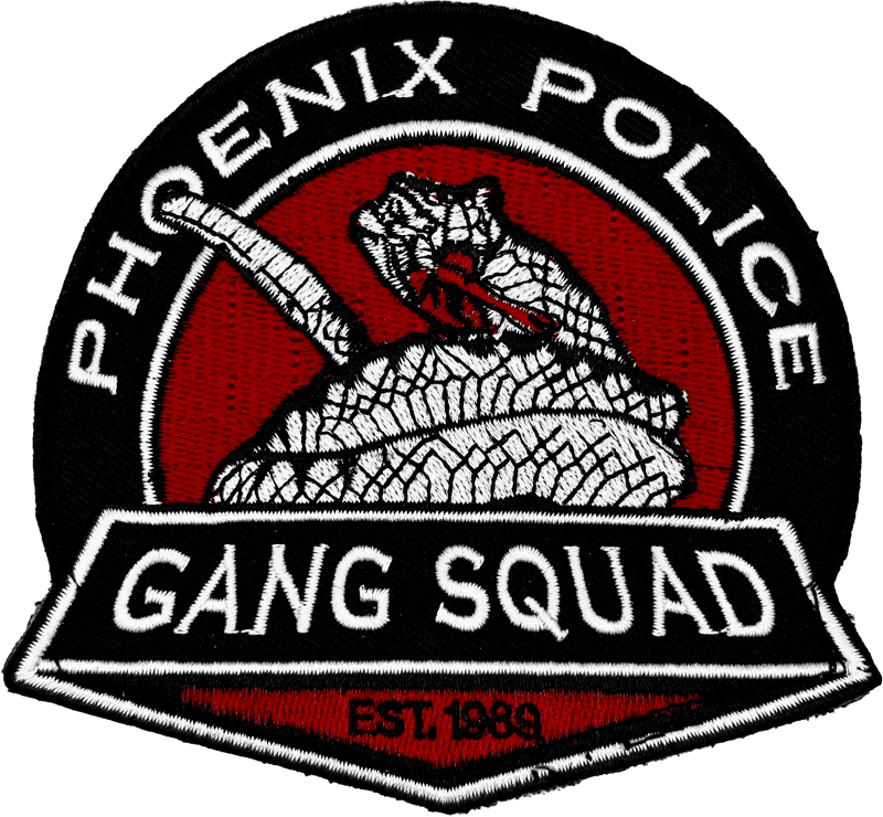 An image of a patch from Gang Enforcement